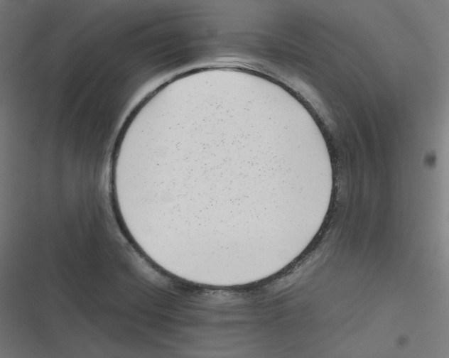 X0000116601420201001081140