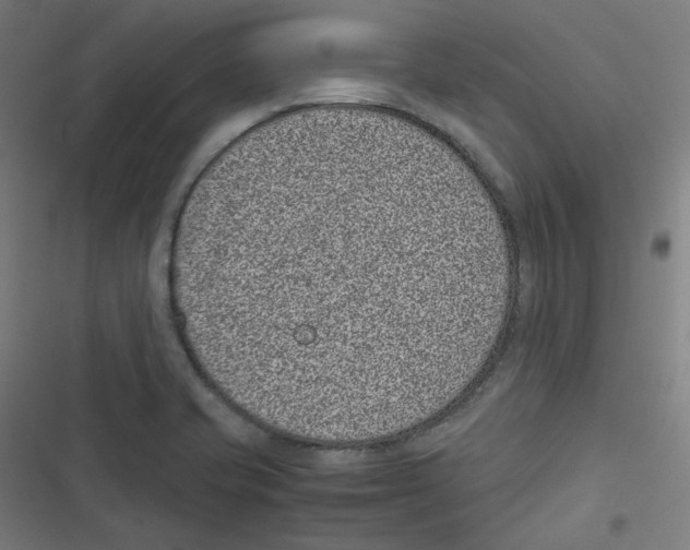 X0000116601421201001081140