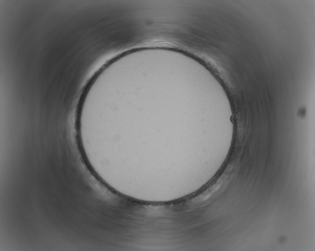 X0000116601422201001081140