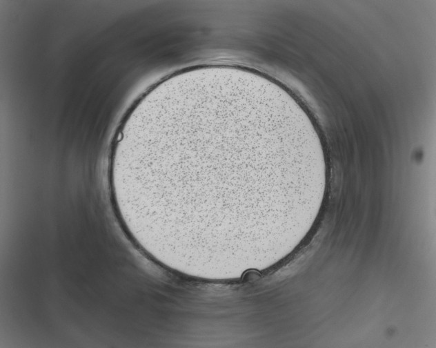 X0000116601424201001081140