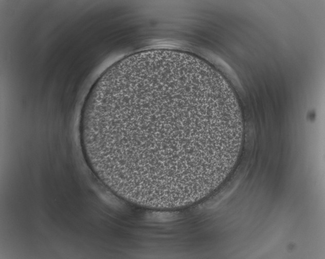 X0000116601427201001081140