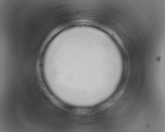 X0000116601429201001081140