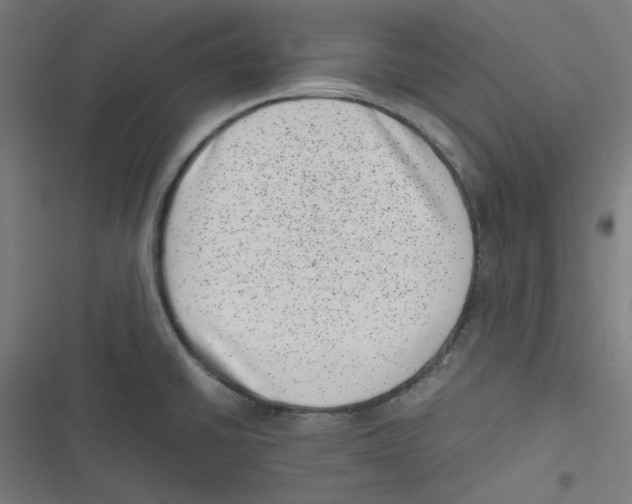 X0000116601430201001081140