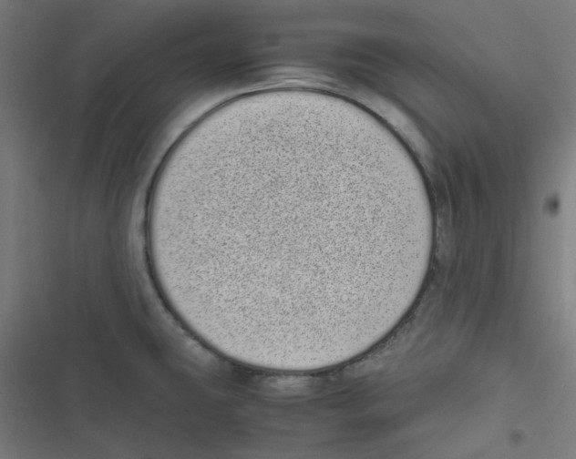 X0000116601431201001081140