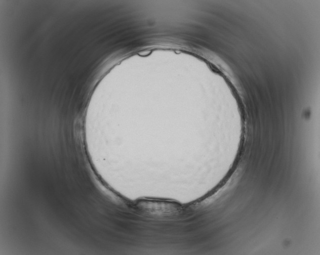 X0000116601433201001081140