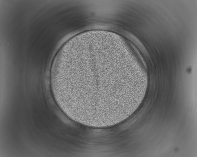 X0000116601436201001081140