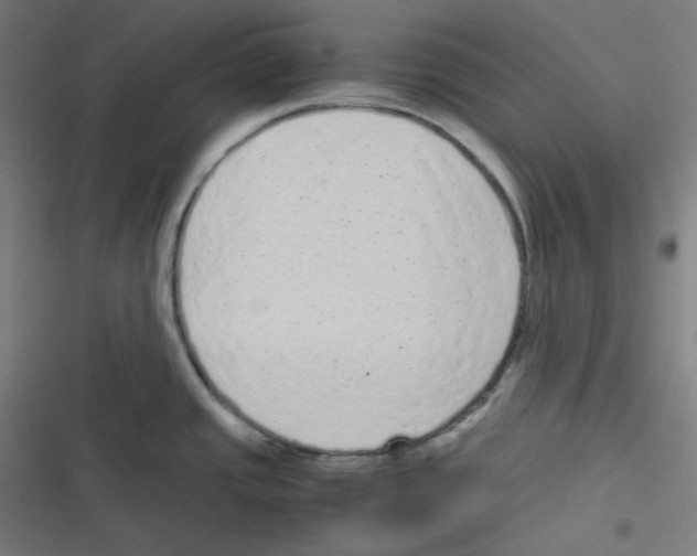 X0000116601437201001081140