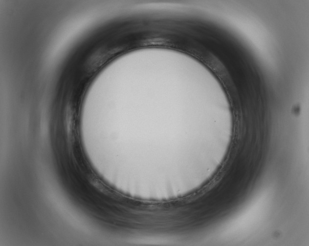 X0000116601438201001081140