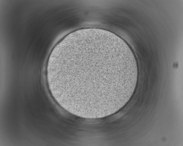 X0000116601440201001081140
