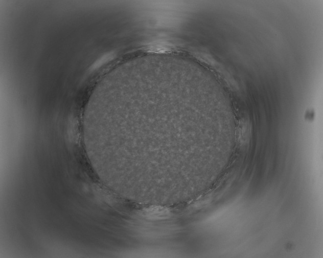 X0000116601446201001081140