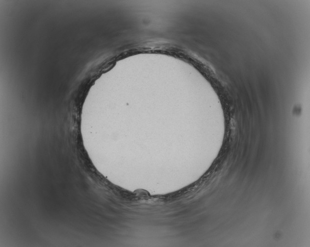 X0000116601447201001081140