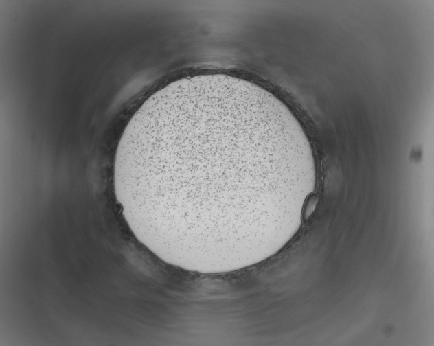 X0000116601448201001081139