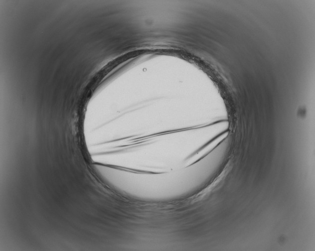 X0000116601449201001081139