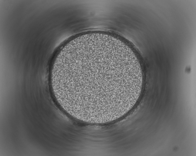 X0000116601450201001081139