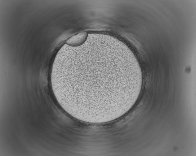 X0000116601451201001081139