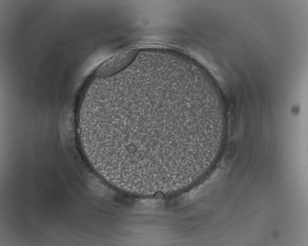 X0000116601453201001081139