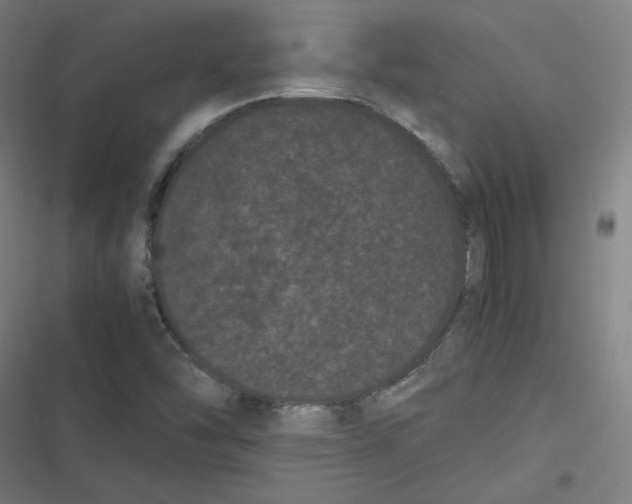 X0000116601454201001081139
