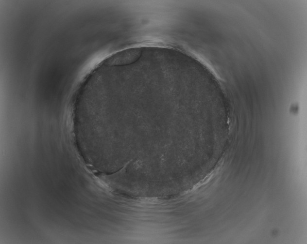 X0000116601455201001081139