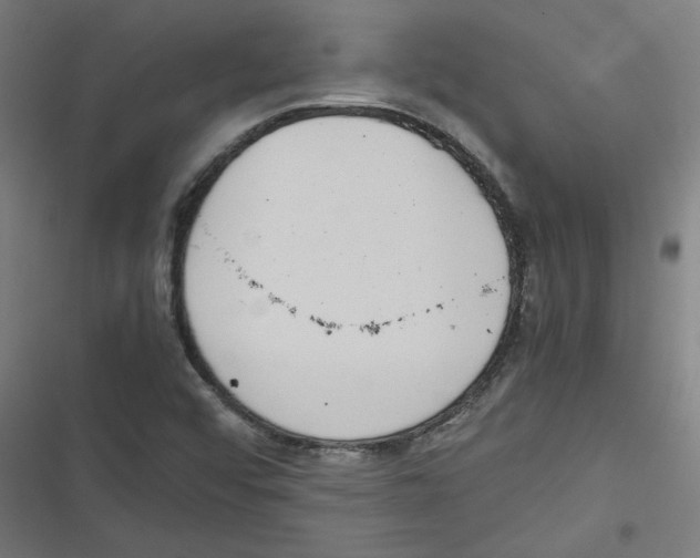 X0000116601456201001081139