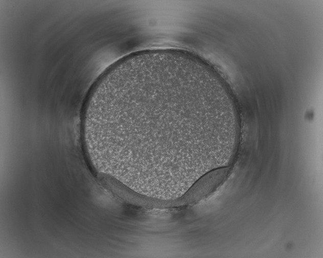 X0000116601457201001081139