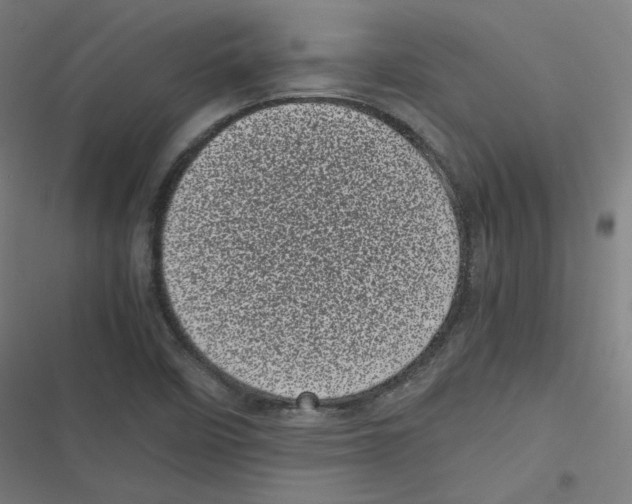 X0000116601458201001081139