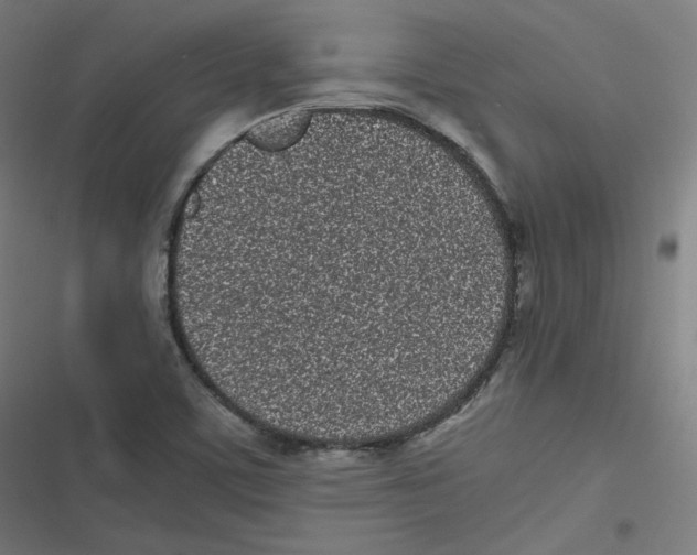 X0000116601459201001081139