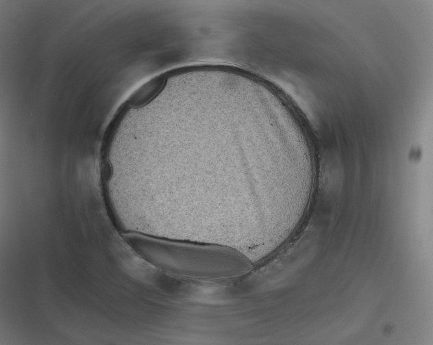 X0000116601460201001081139