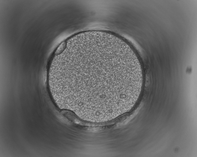 X0000116601461201001081139
