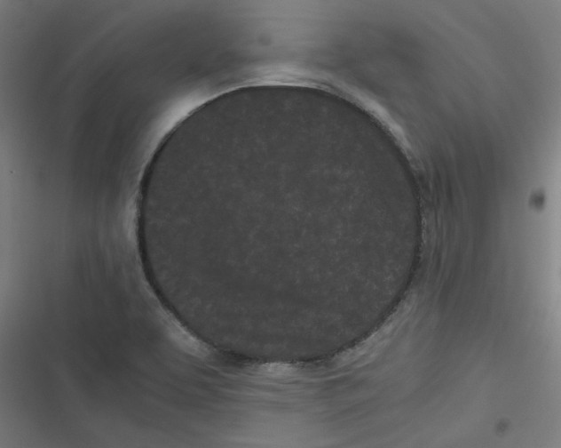 X0000116601463201001081139
