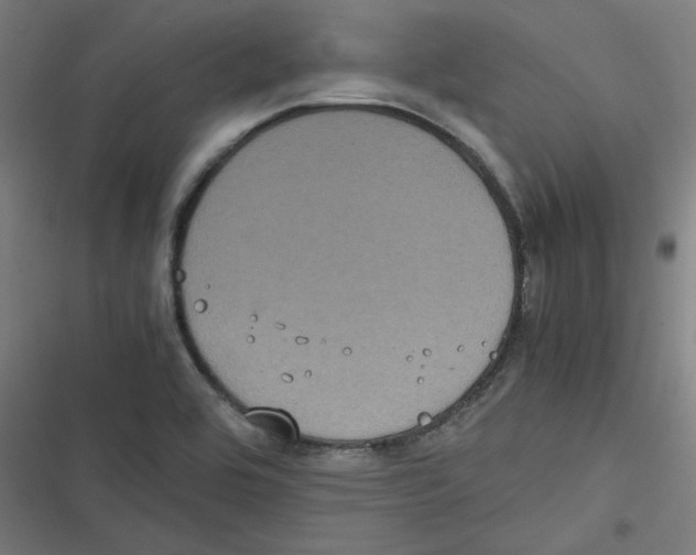X0000116601464201001081139