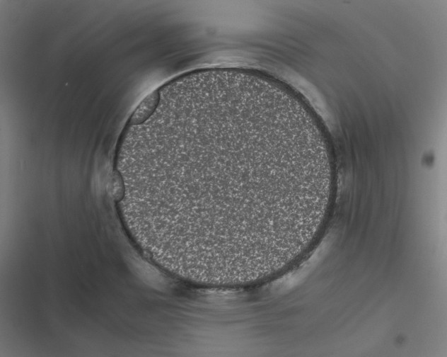 X0000116601465201001081139