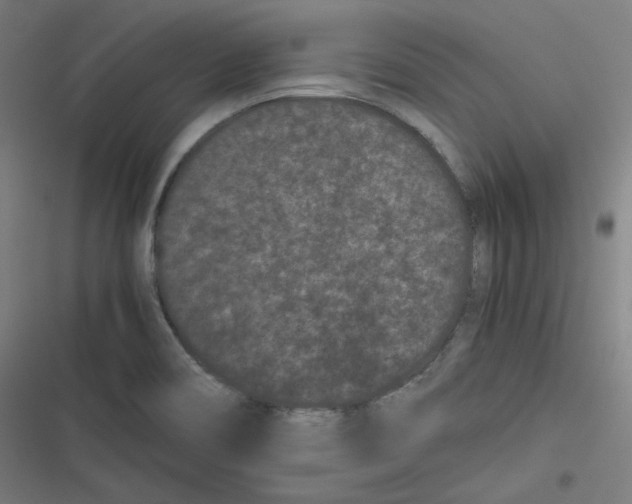X0000116601466201001081139