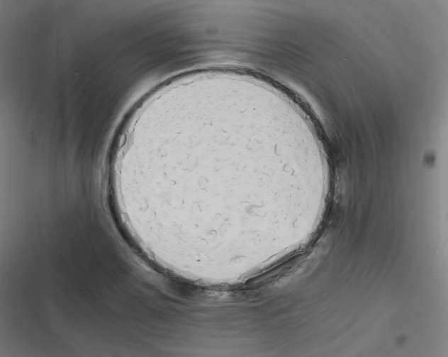 X0000116601467201001081139