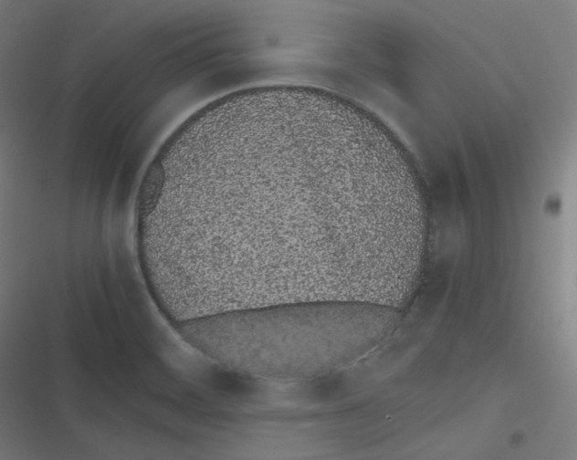 X0000116601468201001081139