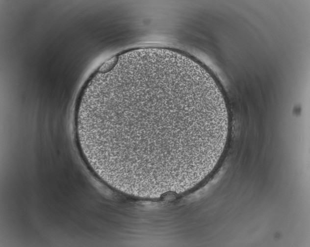 X0000116601469201001081139