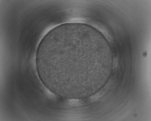 X0000116601470201001081139
