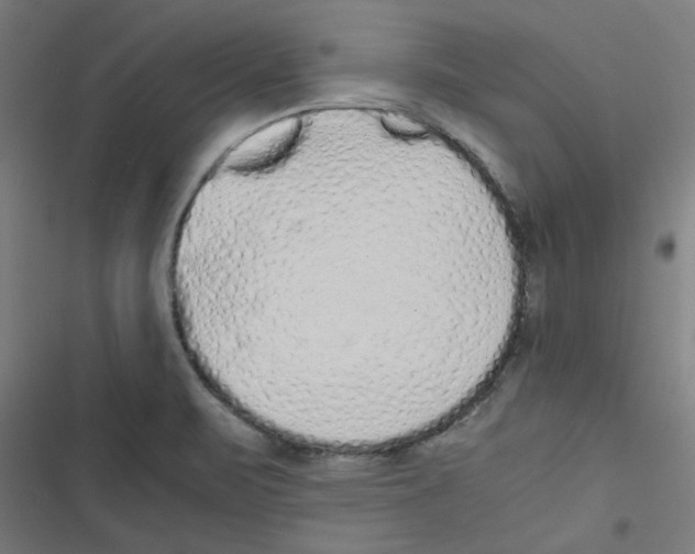 X0000116601471201001081139