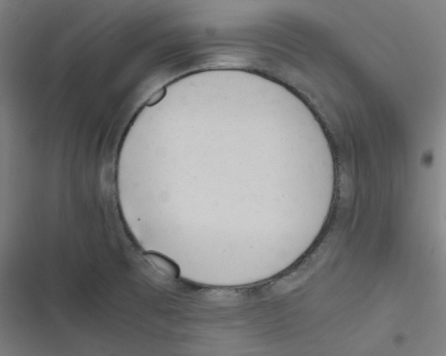 X0000116601473201001081139