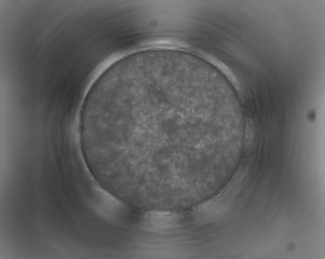 X0000116601474201001081139
