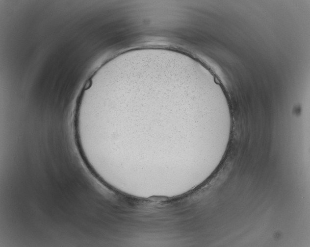 X0000116601475201001081139