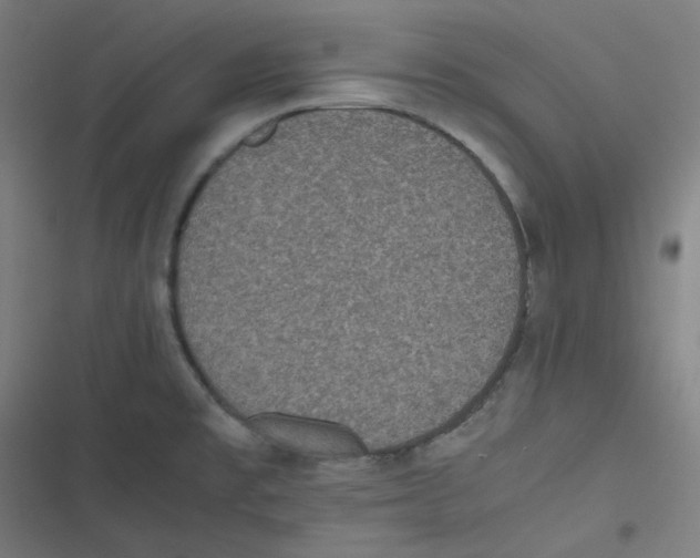 X0000116601477201001081139