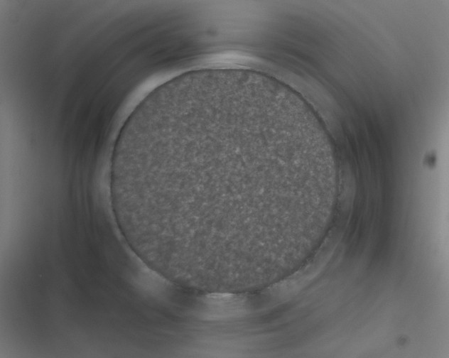 X0000116601478201001081139