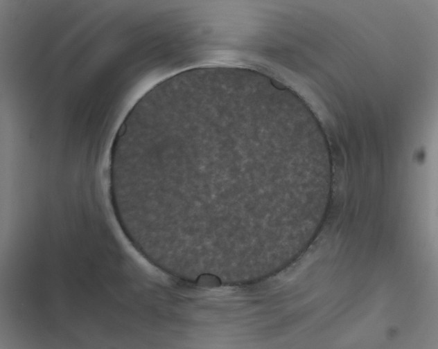 X0000116601479201001081139