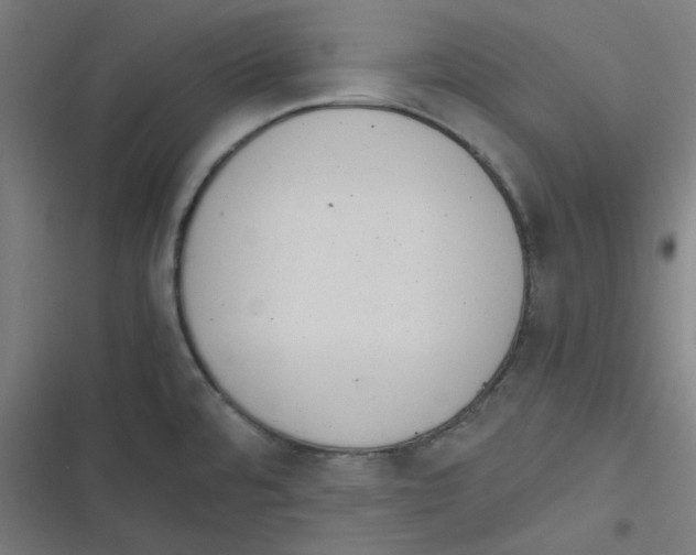 X0000116601480201001081139