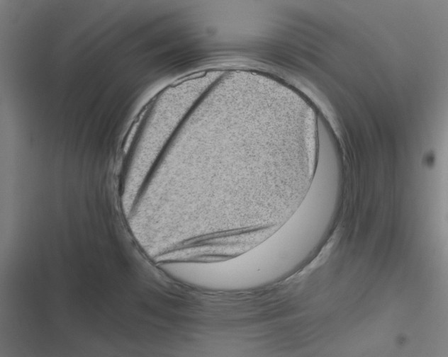 X0000116601481201001081139