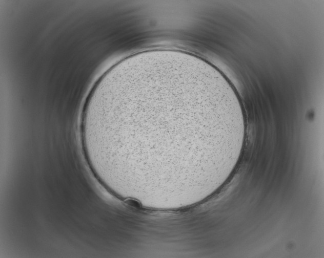 X0000116601482201001081139
