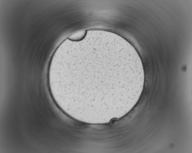 X0000116601483201001081139