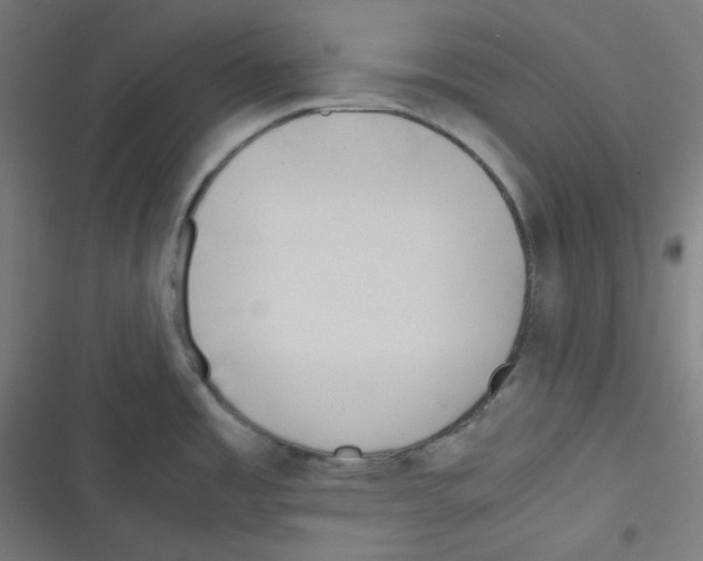 X0000116601485201001081139