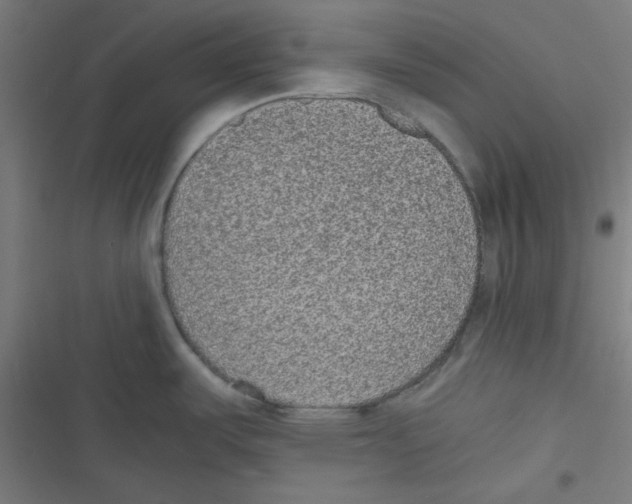 X0000116601487201001081139