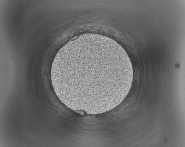 X0000116601489201001081138